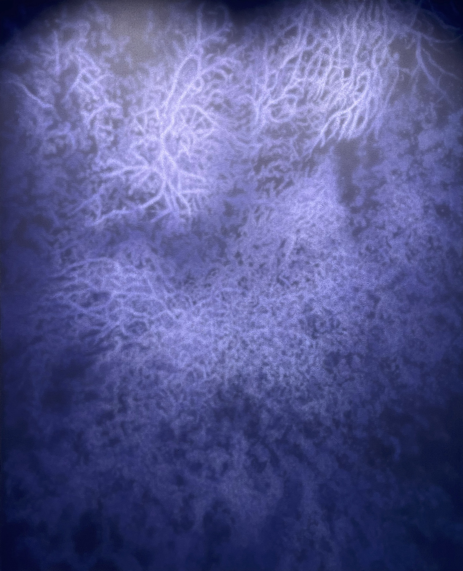 Artists United for Water — Galerie de l’exposition 9